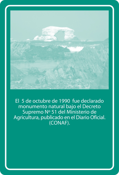 Portada Reverso